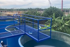 Imagen de WhatsApp 2024-11-22 a las 14.23.39_a0b0e9ab