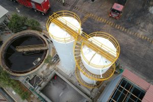 Imagen de WhatsApp 2025-04-10 a las 11.38.28_13ea16c2